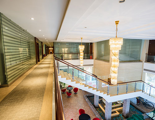 Business activity area