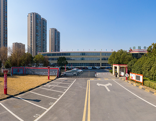 Company panorama