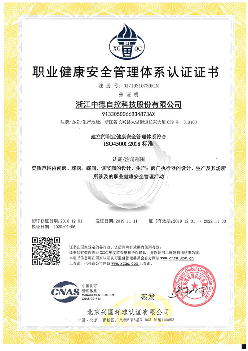 Occupational health and safety management system certification