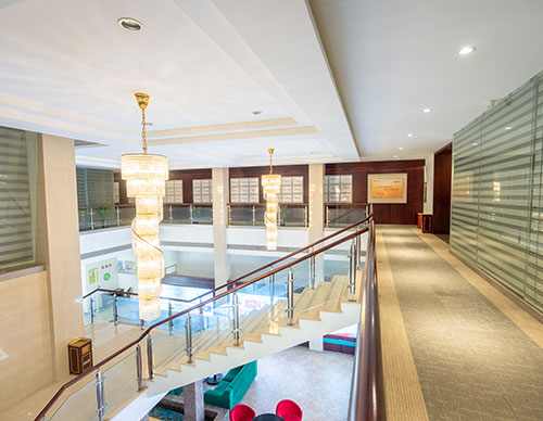 Business activity area