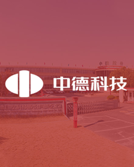 She Tingnan: Project promotion and efficiency improvement, project introduction and breakthrough